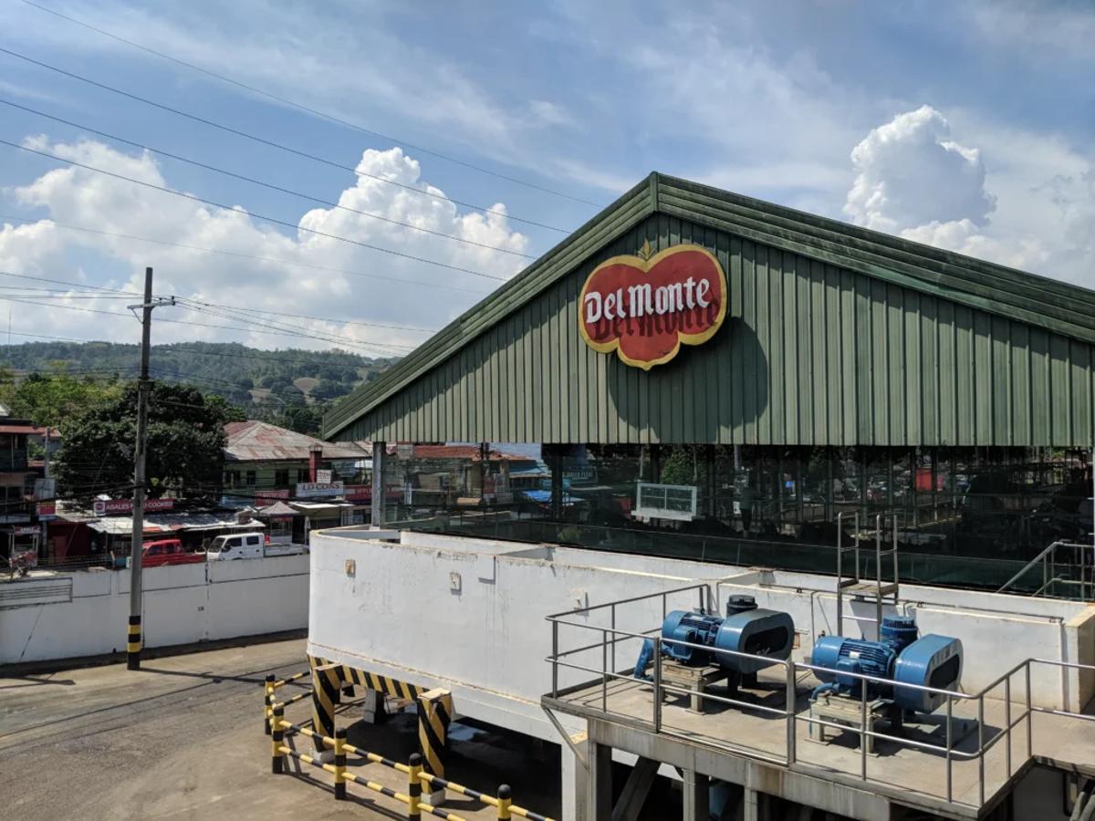 Del Monte Foods Secures $912.5M Debtor-in-Possession Financing Amid Bankruptcy