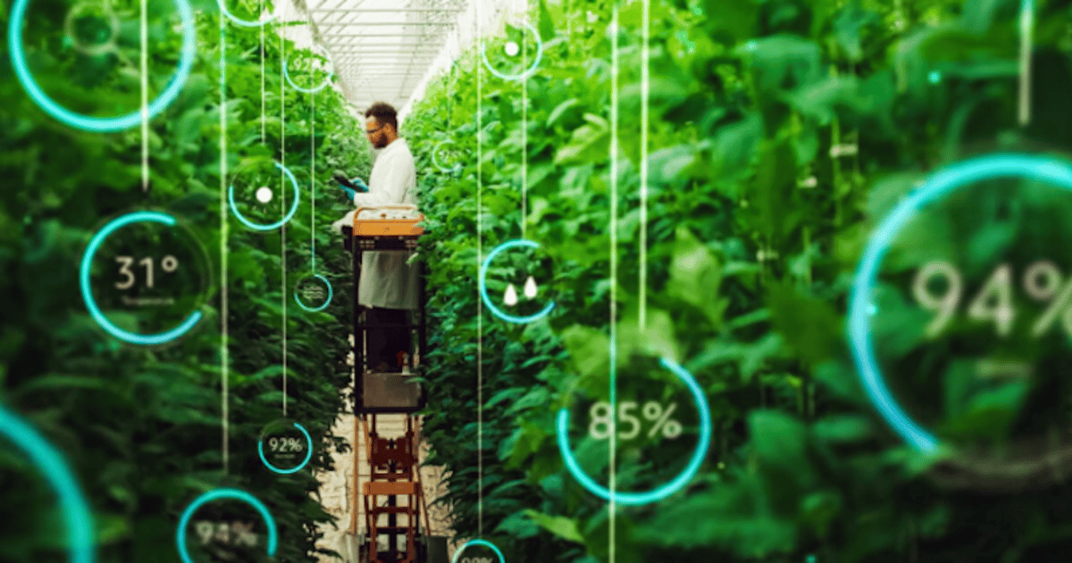 The Hidden Ingredient Layer Behind Automated Food Processing