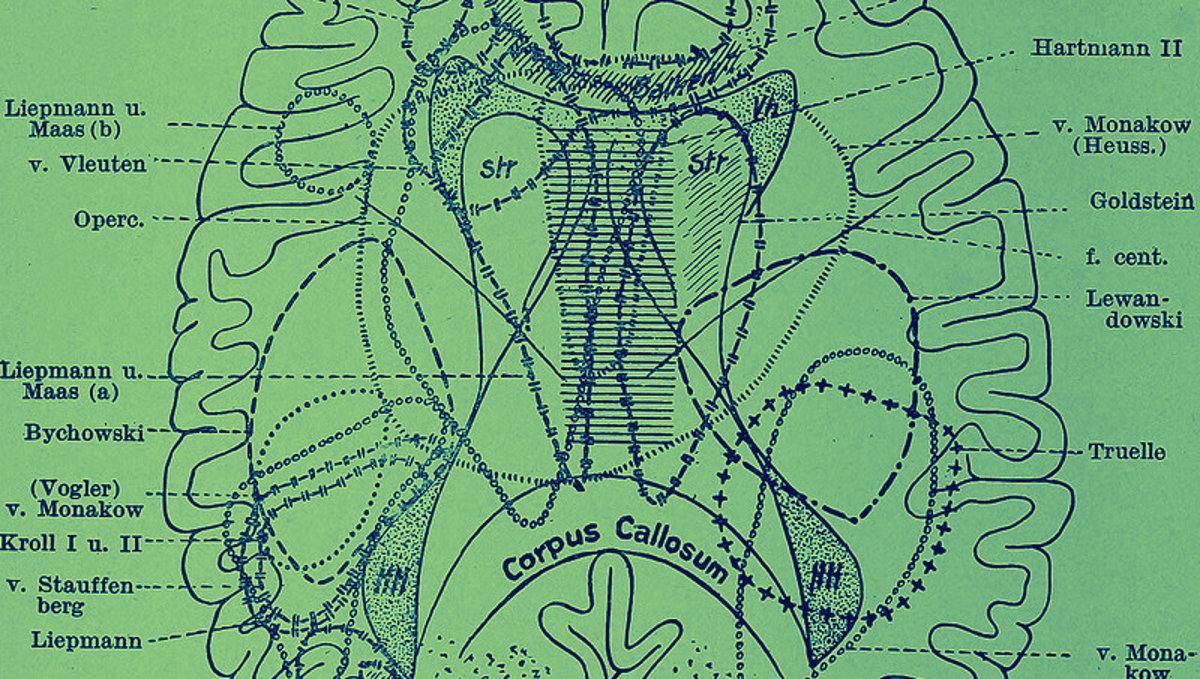 The Medicalization of Madness: How Schizophrenia Was Treated Throughout the Ages