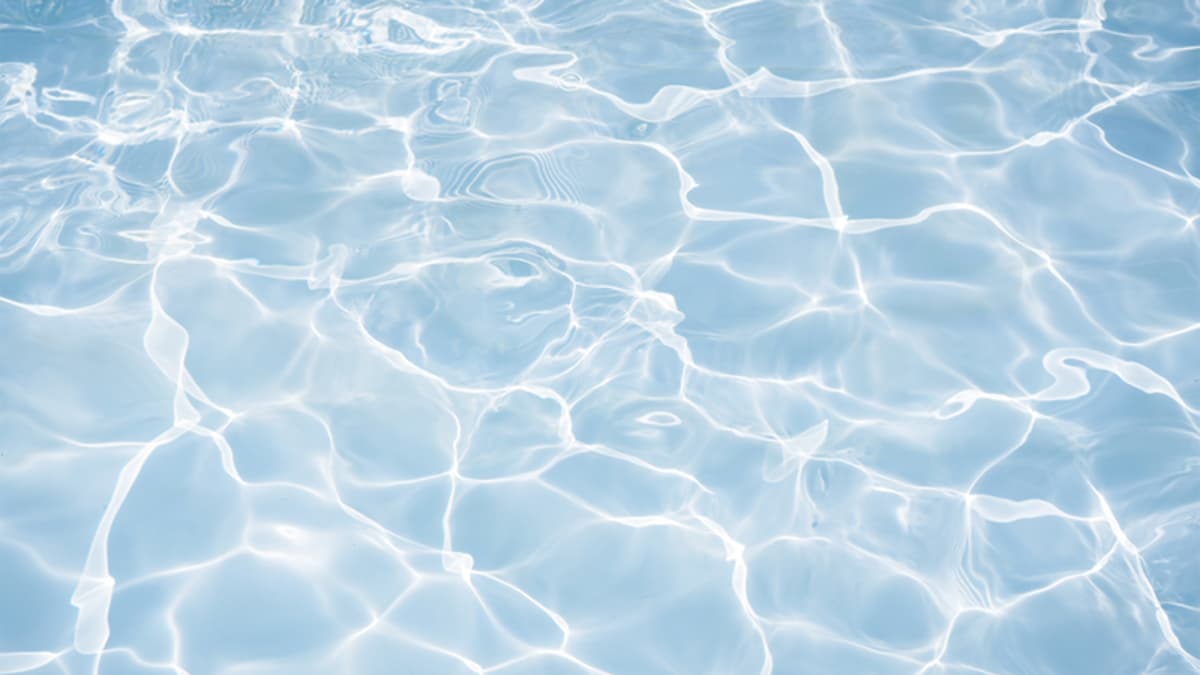 One Great Poem to Read Today: Corey Van Landingham’s “Adult Swim”