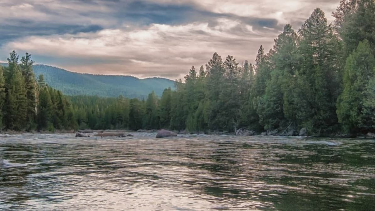 Of Nature, Art and Grace: On Norman Maclean’s A River Runs Through It