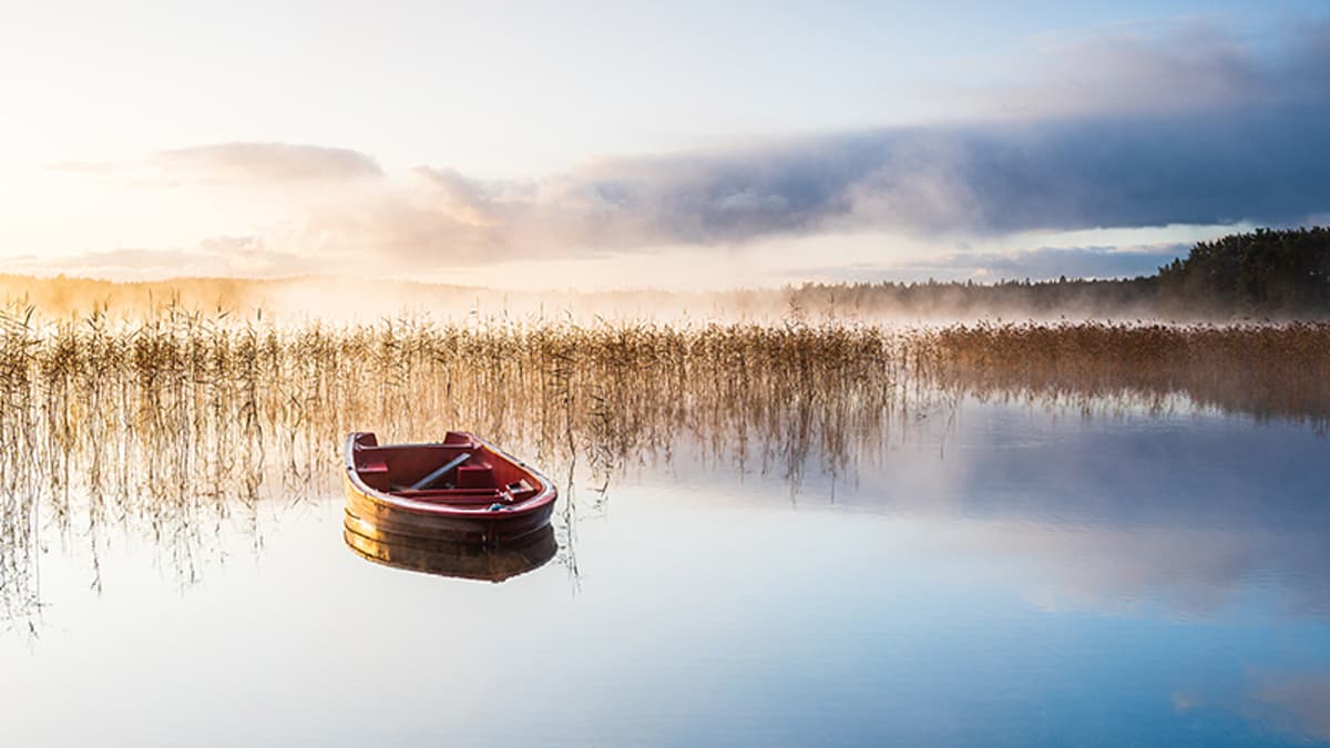 One Great Poem to Read Today: Marie Howe’s “You Think This Happened Only Once and Long Ago”