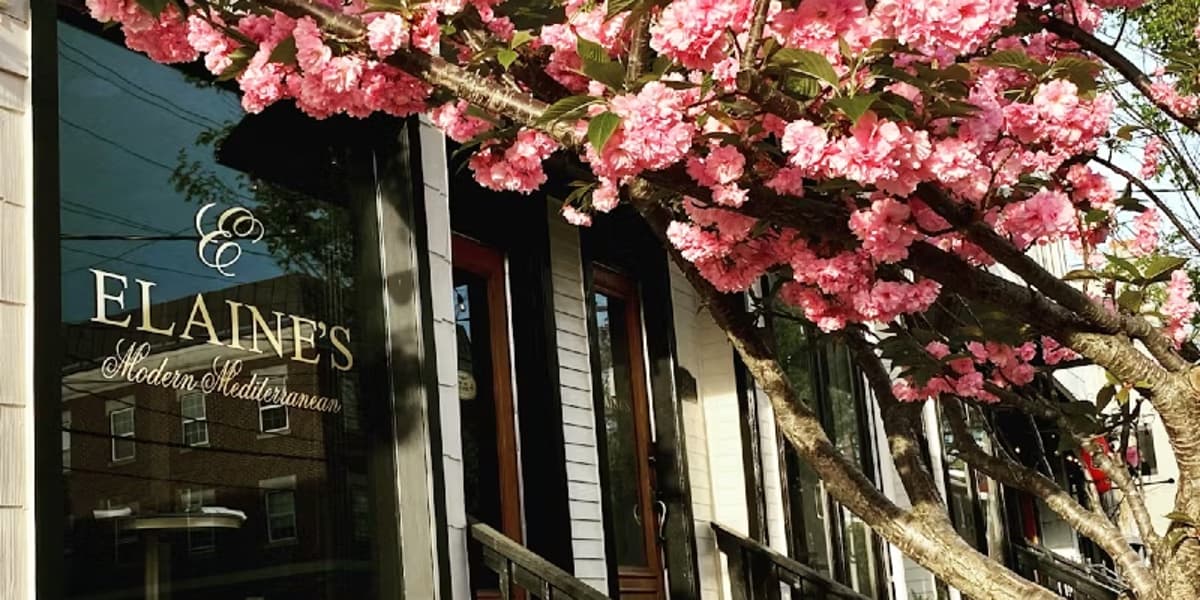 The Rise of Elaine’s Literary Salon in Alexandria, Virginia