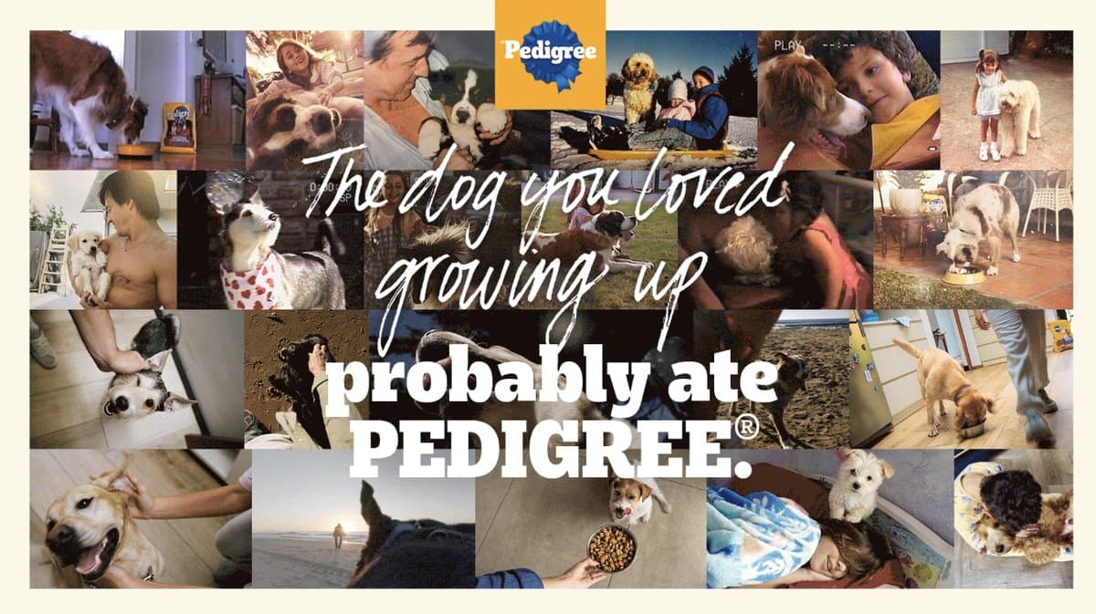 Pedigree, Spot & Tango Campaigns Feature Real Dog Owners