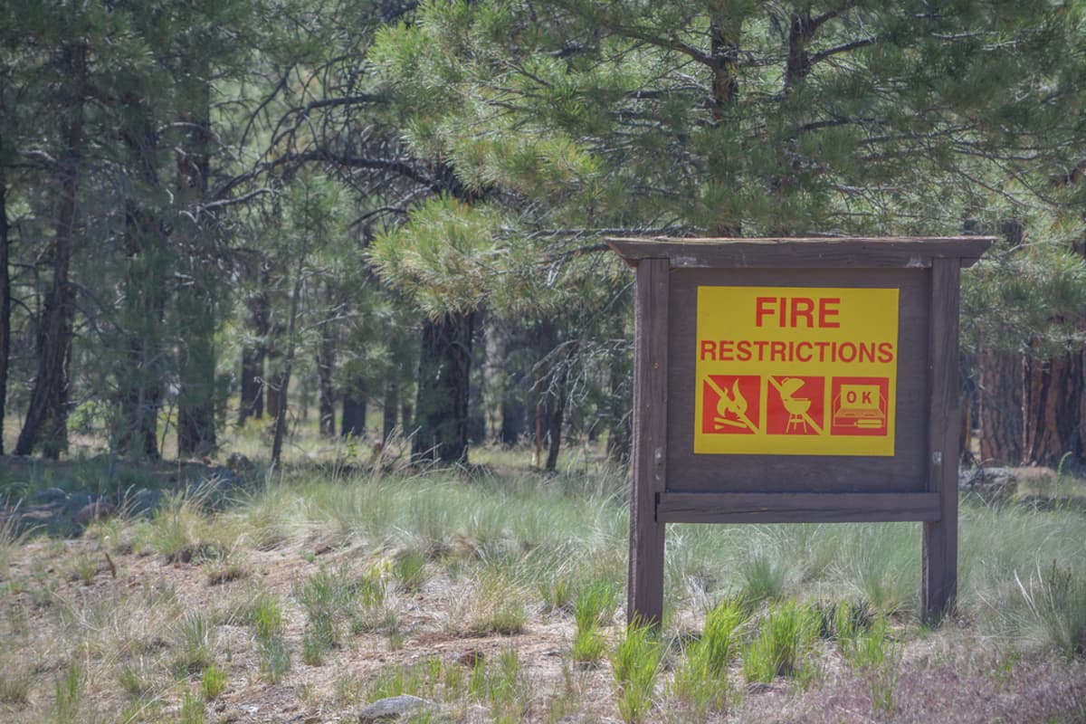 From Detection to Suppression: Drones Join Fleet of Wildfire Fighting Aircraft