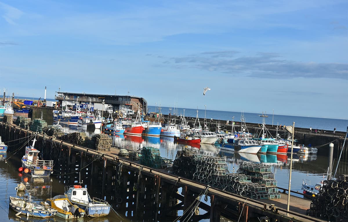 UK Government Report Shows Mixed Outlook for Ocean Ecosystem, Health of Commercial Fisheries