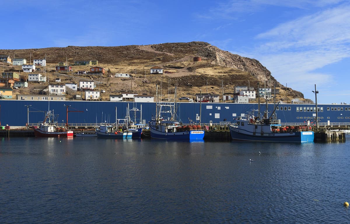 Newfoundland Seafood Processors Sue Harvester Union Leadership over Ongoing Snow Crab Pricing Dispute