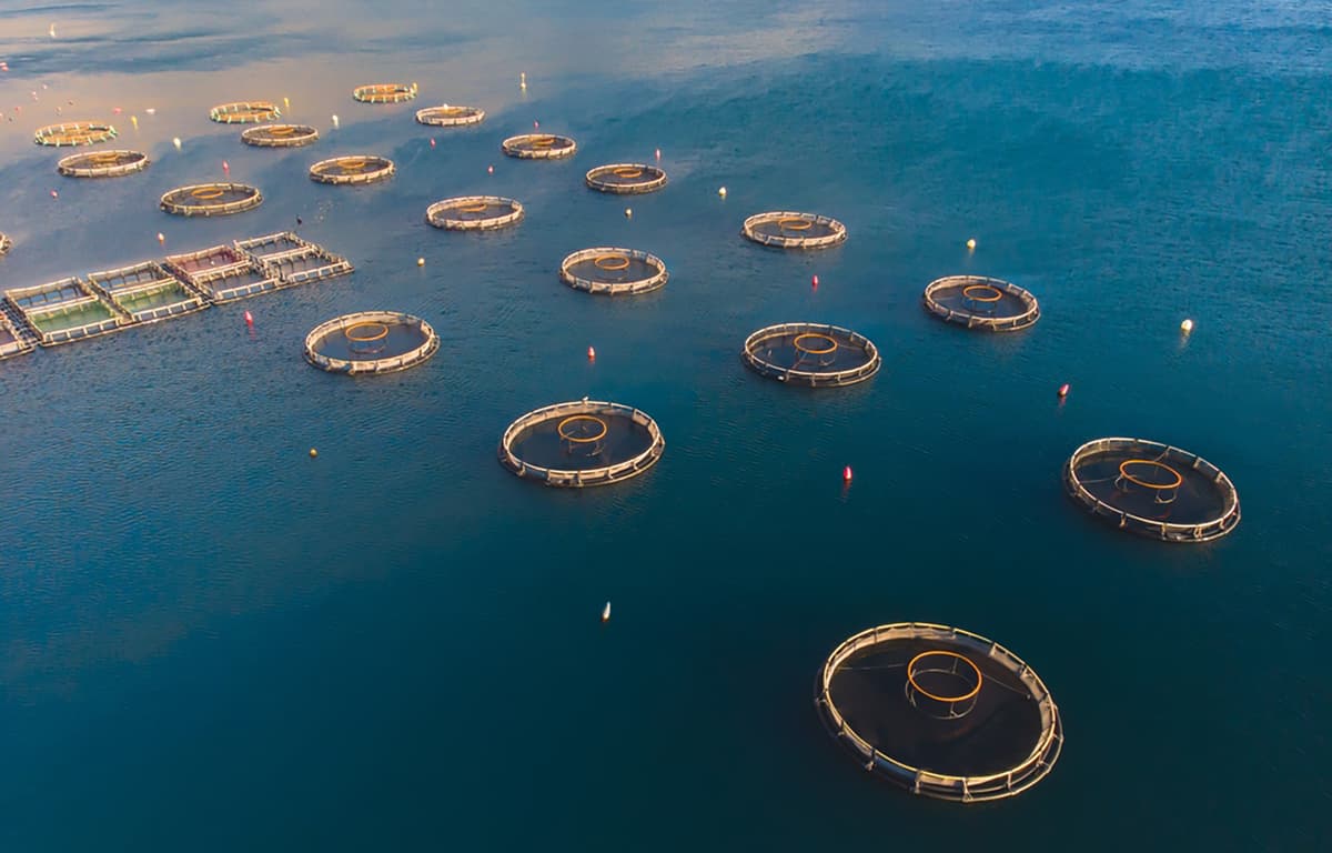 Representative Group Hopeful EU’s Vision 2040 Can Serve as “Turning Point” For European Aquaculture