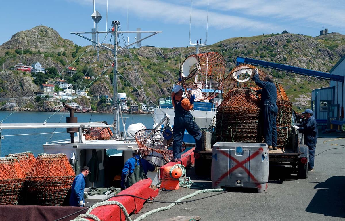 Newfoundland Harvesters, Processors Reach Snow Crab Pricing Agreement