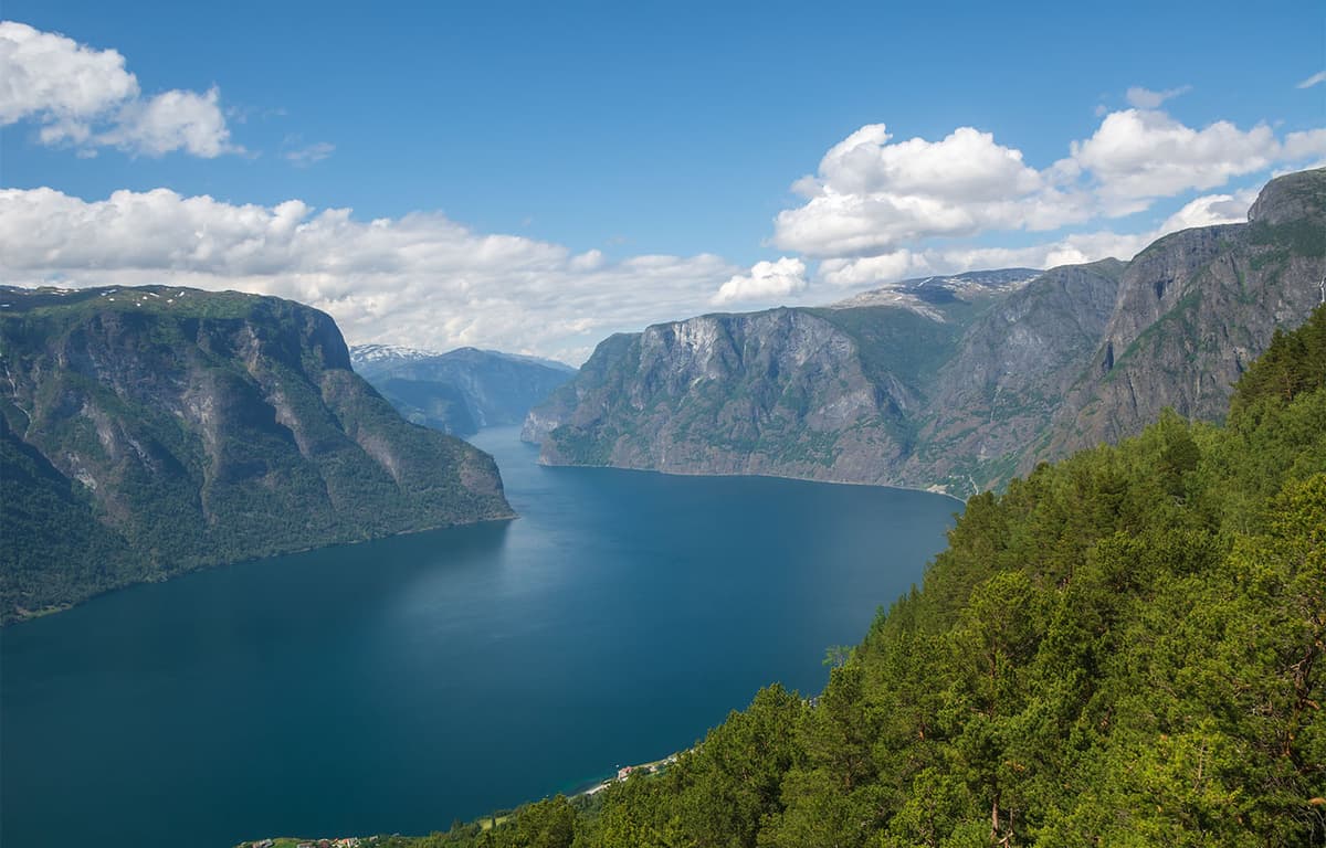 Norway Court Sides with Directorate of Fisheries on Escape Case, Fines Aller Aqua NOK 5 Million