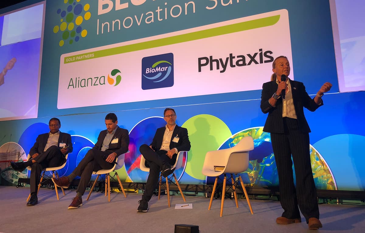 Experts Implore Seafood Industry to Start Looking Beyond 100 Percent Utilization Into Total Biomass Optimization