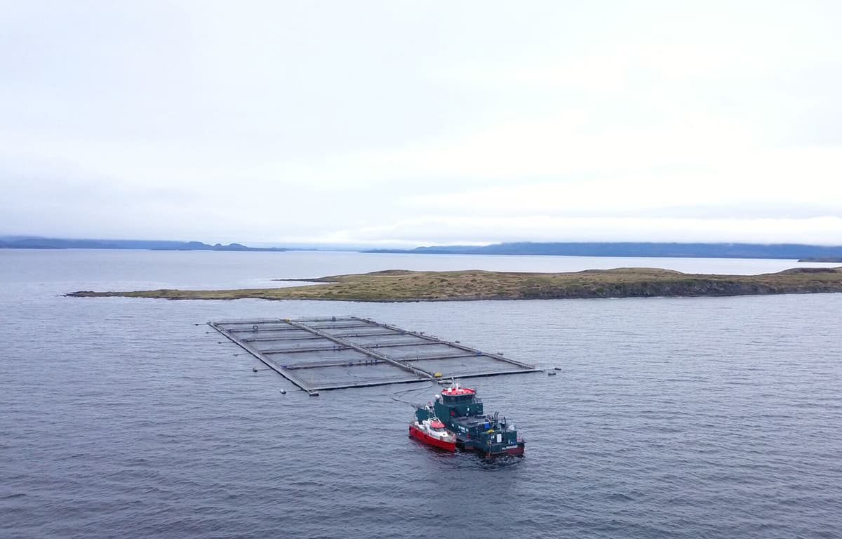 Chile Relaxes Regulation to Clear Path for Multitrophic Aquaculture at Salmon Farms