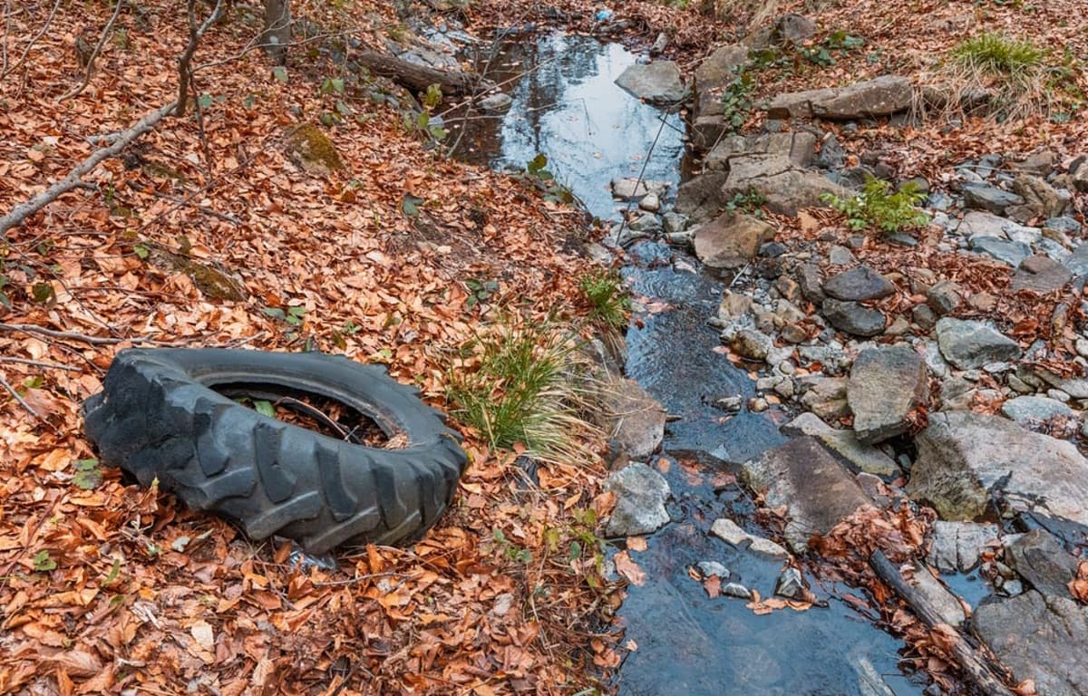 US Lawmakers Propose Federal 6PPD Task Force