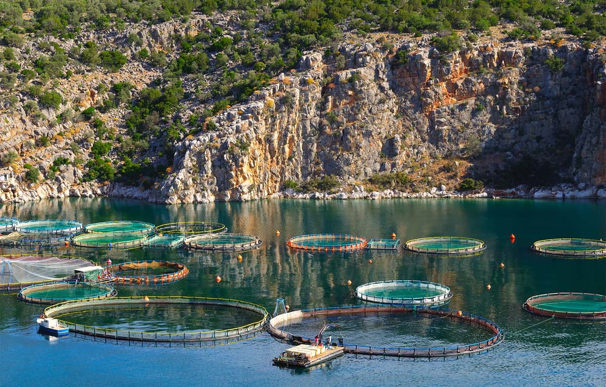 EU Aquaculture Group Calls for Bloc to Refine Its Planned Plastics Regulations