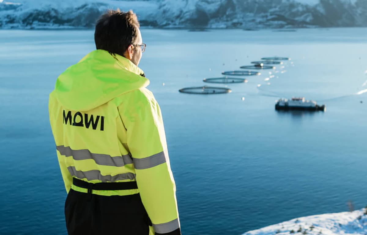 Mowi Delivers Record Q1 Salmon Harvest