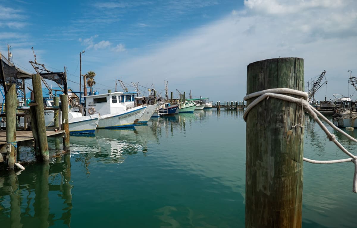 Texas Shrimpers Ask Trump Administration for More H-2B Visas Amid Labor Shortage
