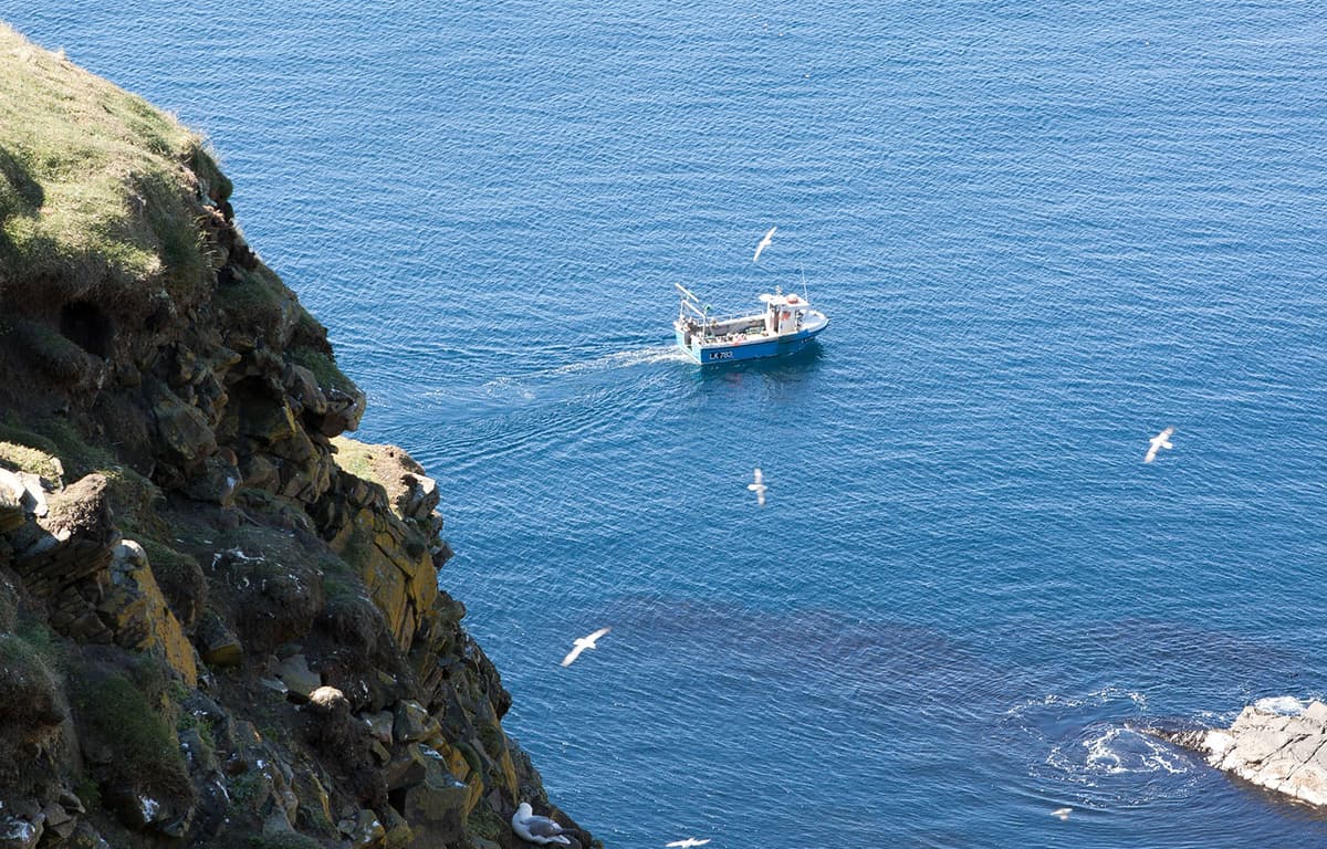 Norway’s Farmed Cod Prices Double Since the Beginning of April; Wild-Caught Prices Fall in Scotland