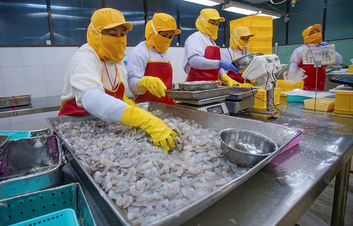Indonesian Exports to China Rise, Cushioning the Blow of Disrupted Middle East Shipments
