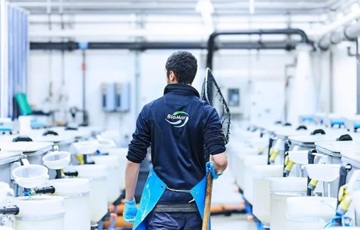 BioMar Funds Research and Development for Barramundi and Yellowtail Kingfish Aquaculture