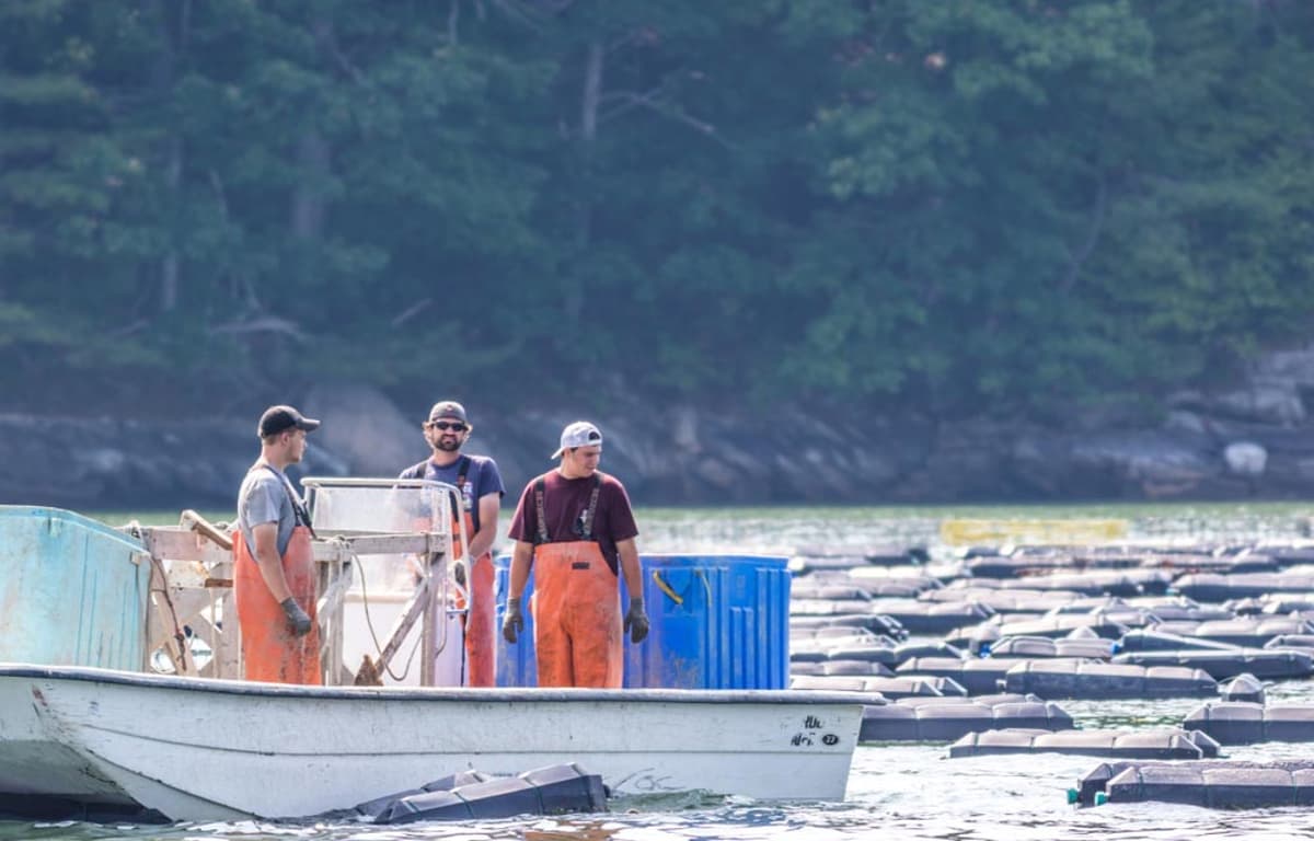 NOAA Launches Aquaculture Research Institute