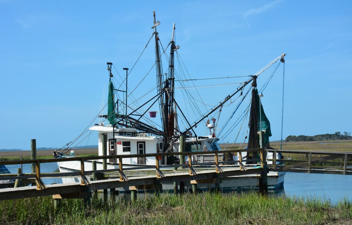 South Carolina Legislature Approves Two Versions of Shrimp Labeling Law