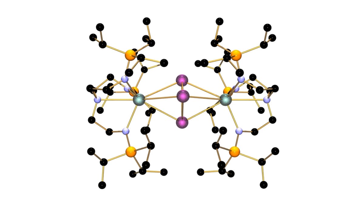 One of the Heaviest Rings yet Joins the Ranks of Aromatic Molecules