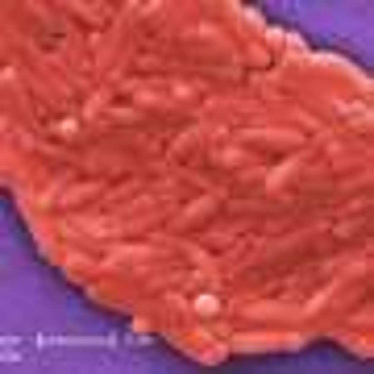 New Antibiotic Alternative Fights Foodborne Salmonella