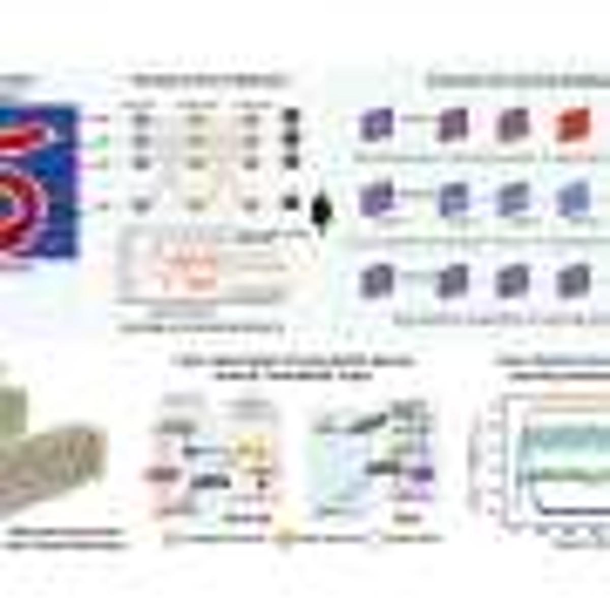 Artificial Synapse Uses Light-Color Programming for Brain-Like Balanced Learning