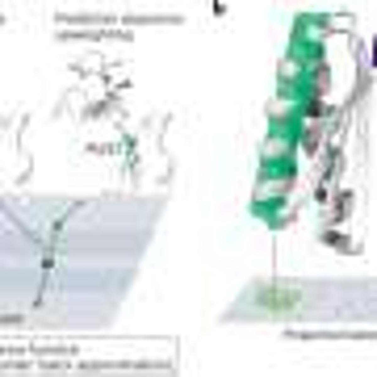 A Roadmap for Safer, Explainable Protein-Design AI