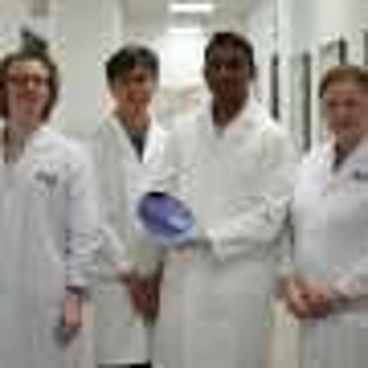 Atom-Thin Coating Tackles Key Bottleneck in Chip Miniaturization