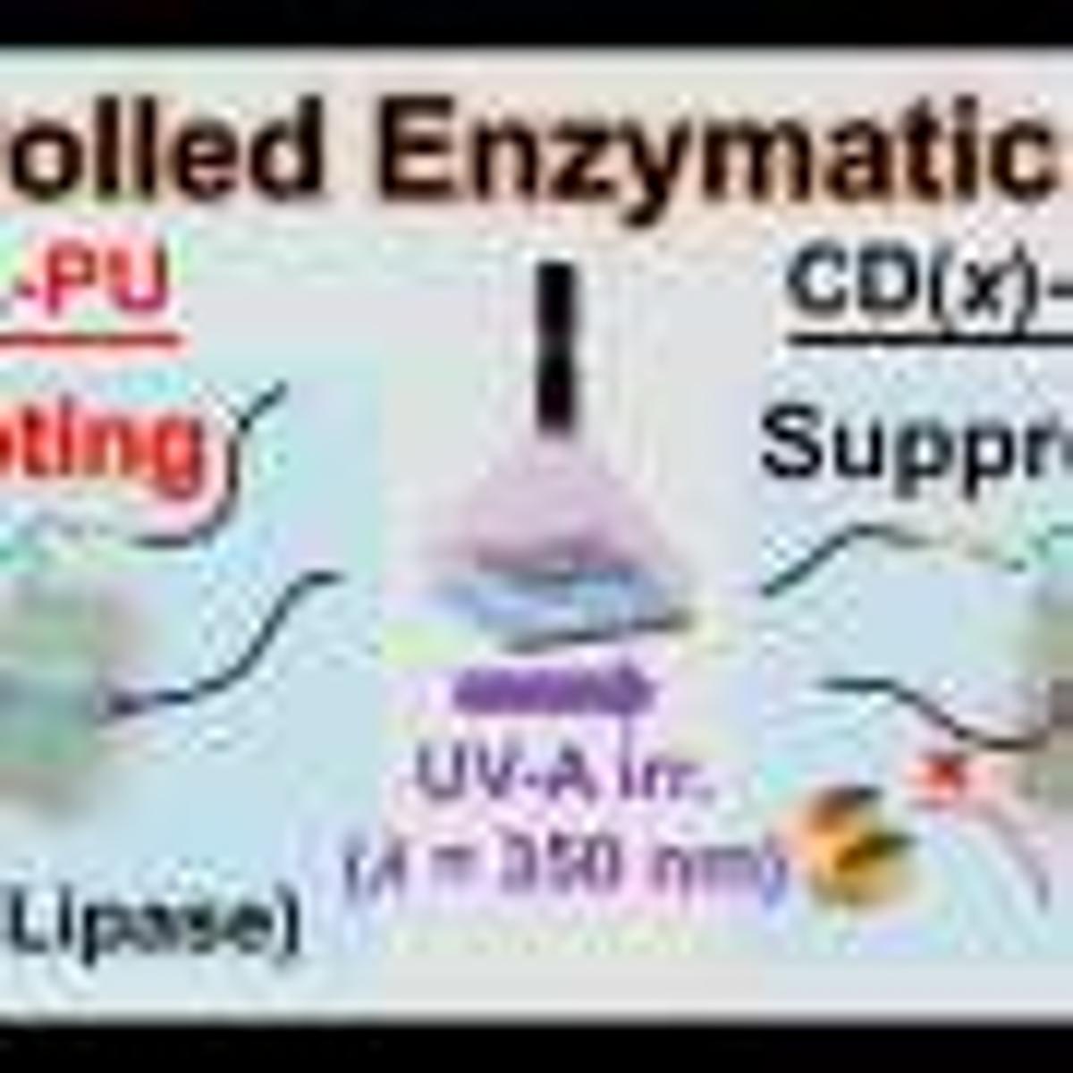 Polymer Uses Movable Molecular Rings to Overcome Durability–Degradability Trade-Off