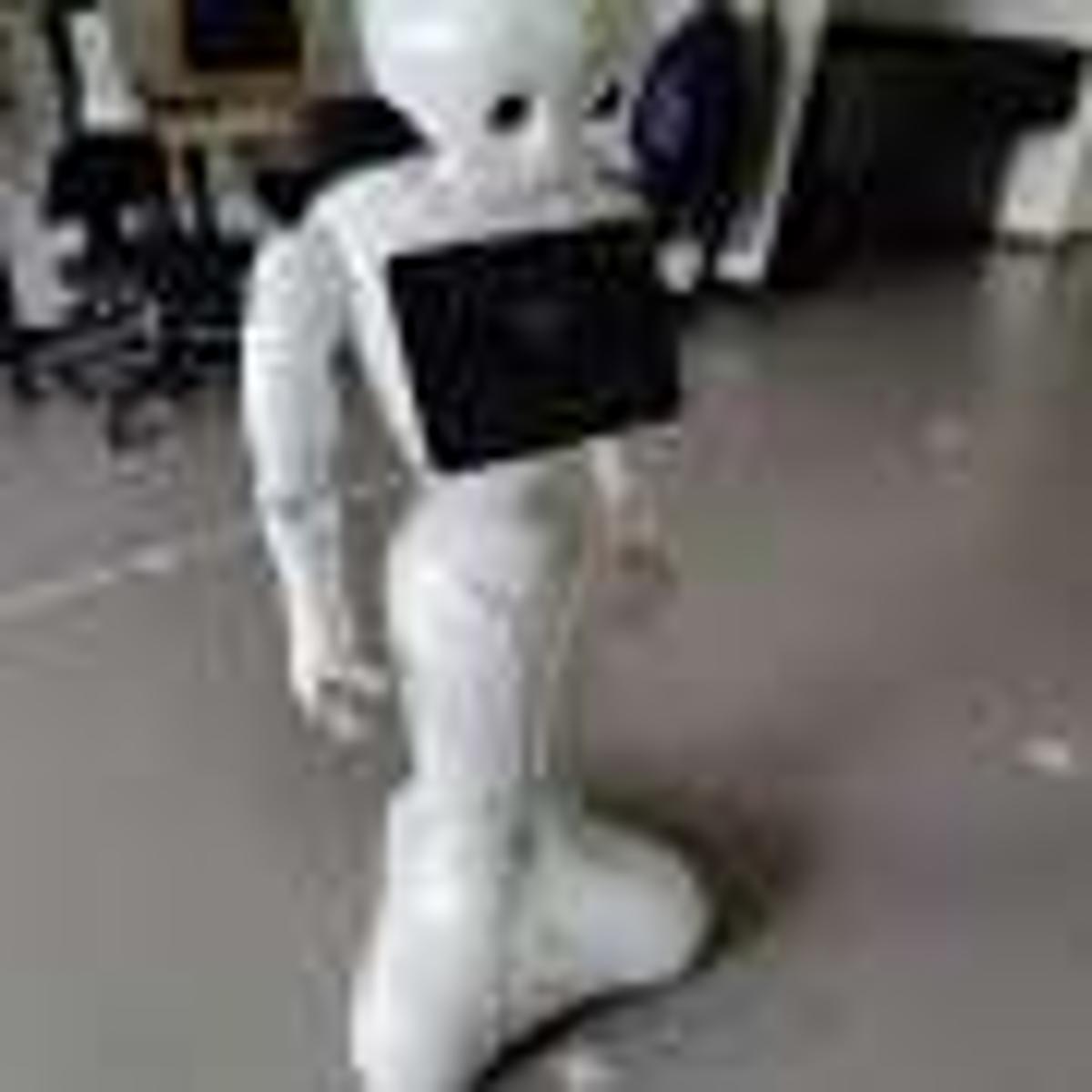 Can Pepper the Robot Be a Good Playmate?