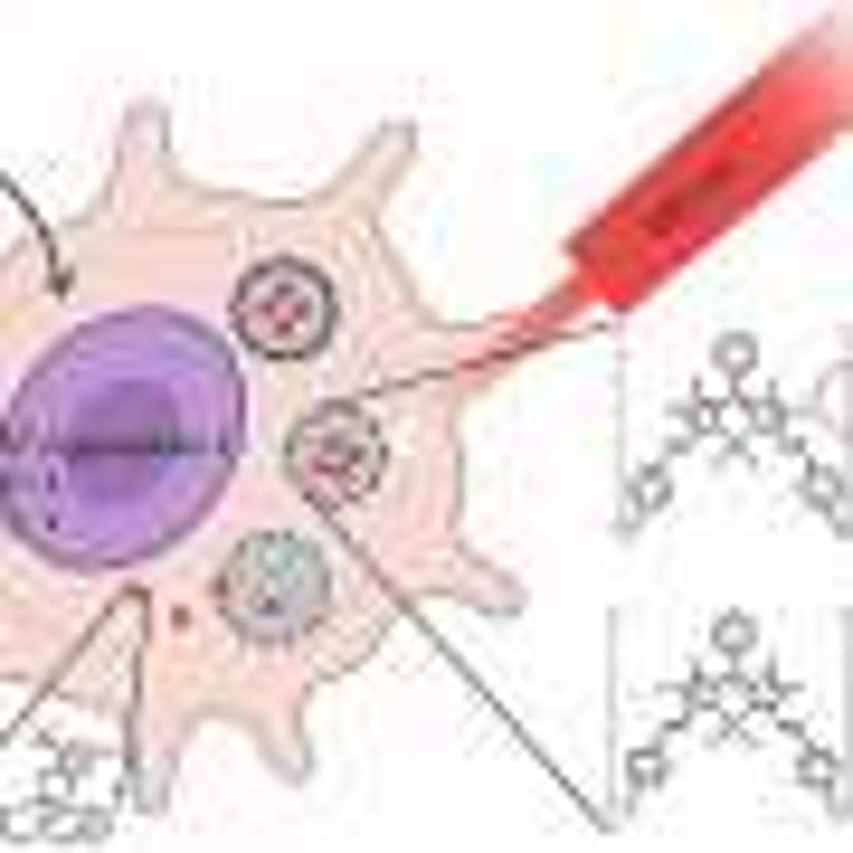 Light-Activated Nanoparticles Trigger Copper Overload to Kill Cancer Cells