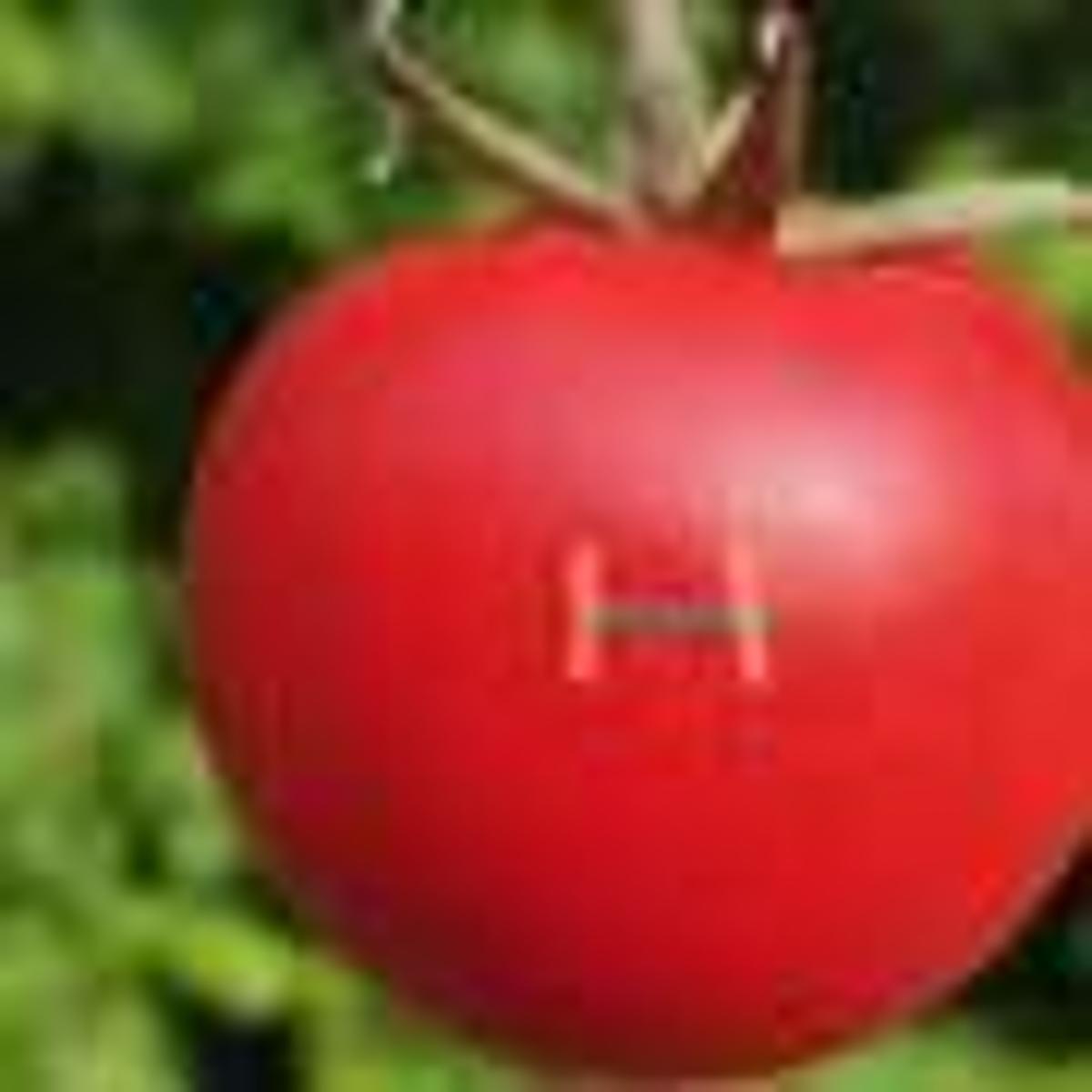Biobased Magnetic Sensors Printed From Iron and Cellulose Rival some Commercial Devices