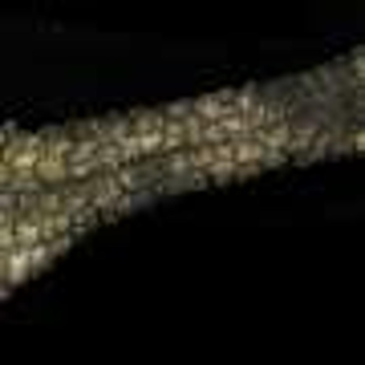 Elephant Trunk Skin Reveals Design that Could Reshape Soft Robotics