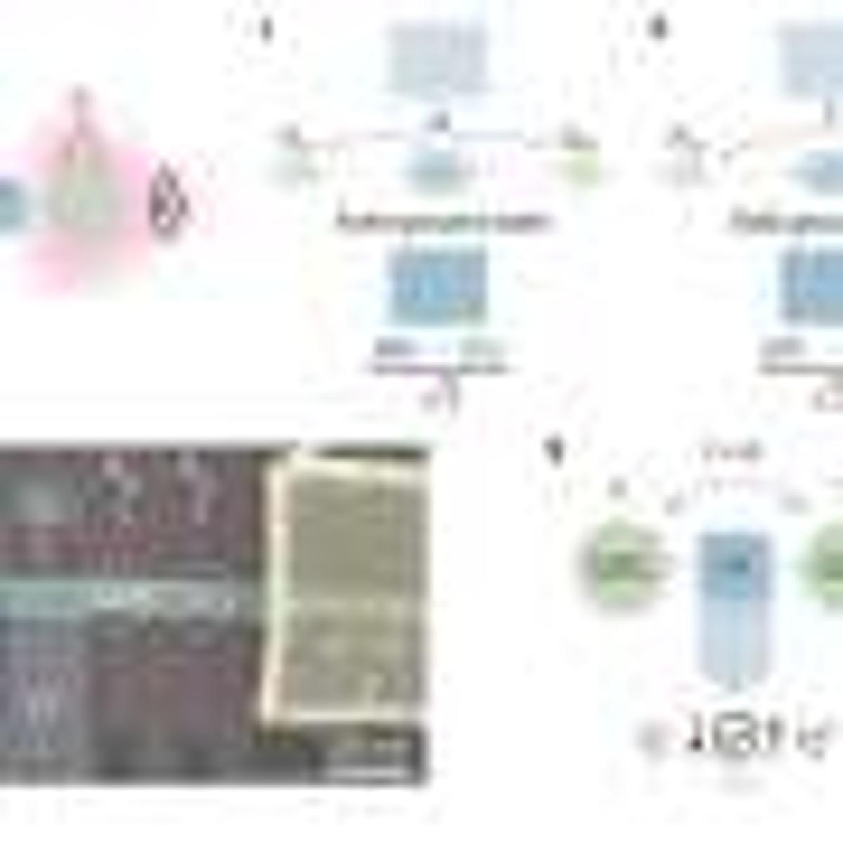 Majorana Qubits Become Readable as Quantum Capacitance Detects Even-Odd States