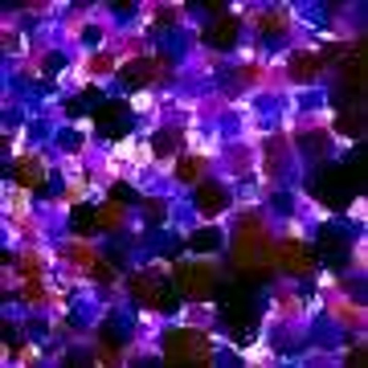 Nanoparticles Enable Large-Scale Production of Advanced Cell Therapies