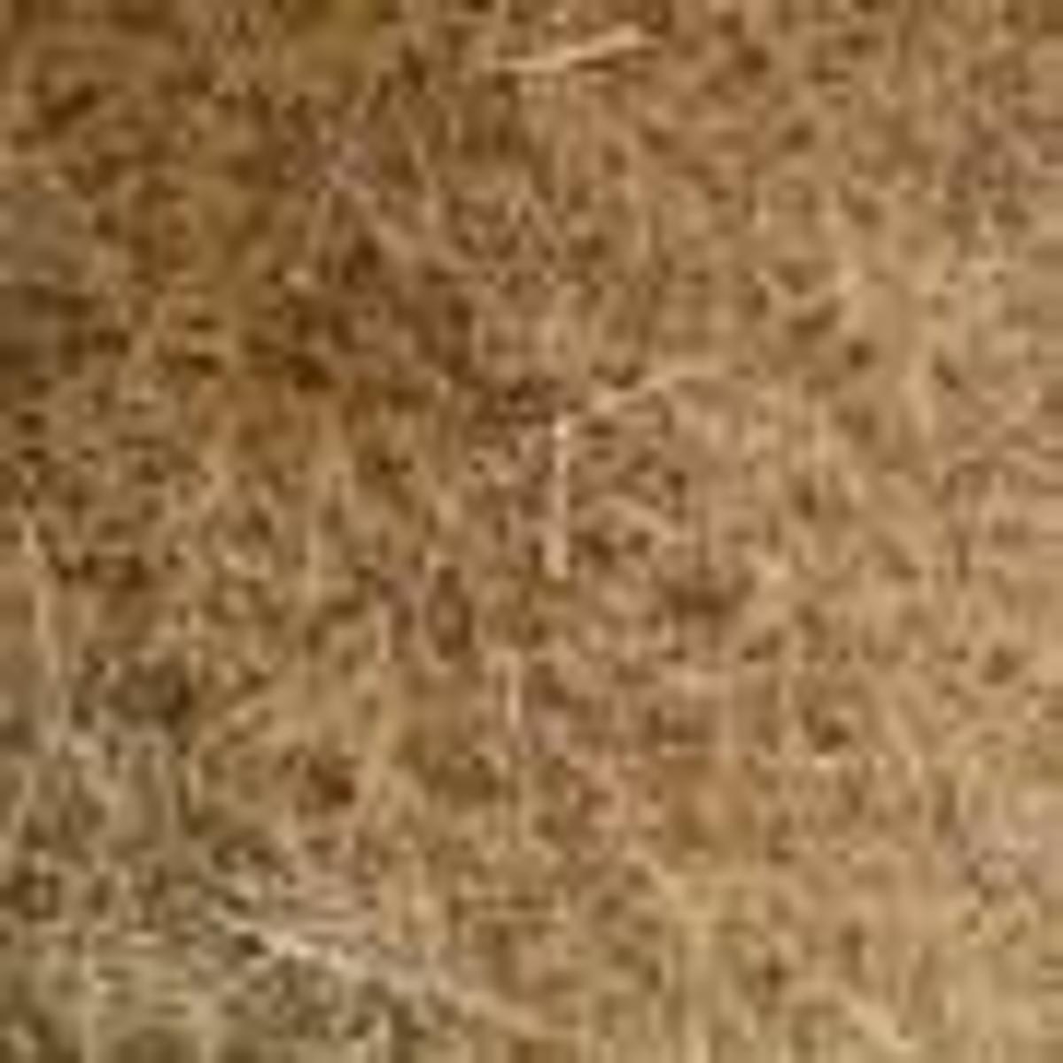 One-Pot Process Could Convert Sugarcane Waste to Jet Fuel