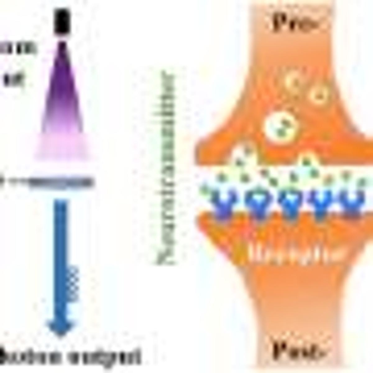 Photon-Driven Synapse Advances Low-Power Neuromorphic Systems