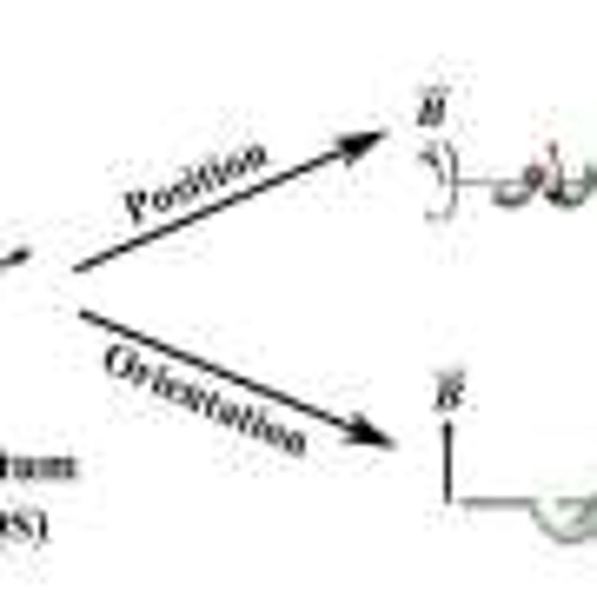 Magnetic Microbots Steer Quantum Sensors Inside Living Cells