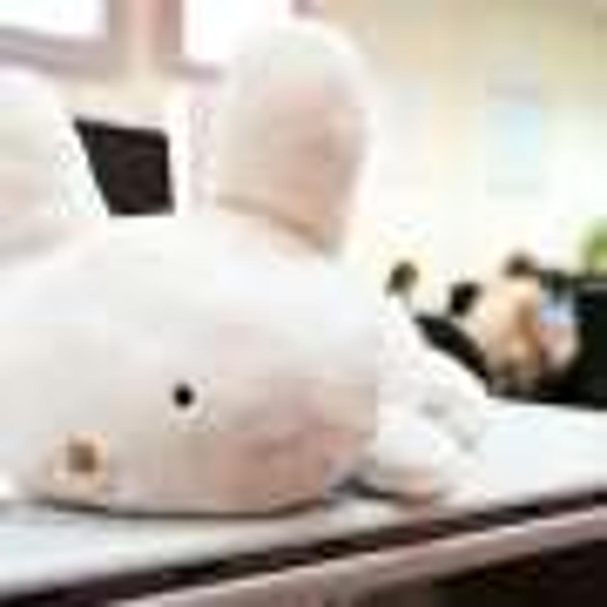 Robotic Rabbit Learns Users' Voices on First Greeting, Enabling Personalized Elder Care