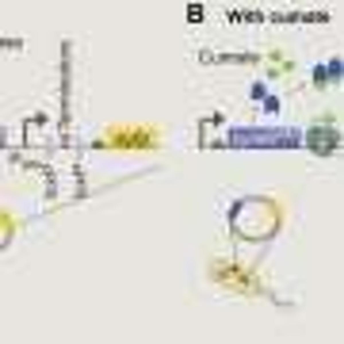 Engineered E. Coli Can Monitor Arsenic, Offering a Cheap Biosensor