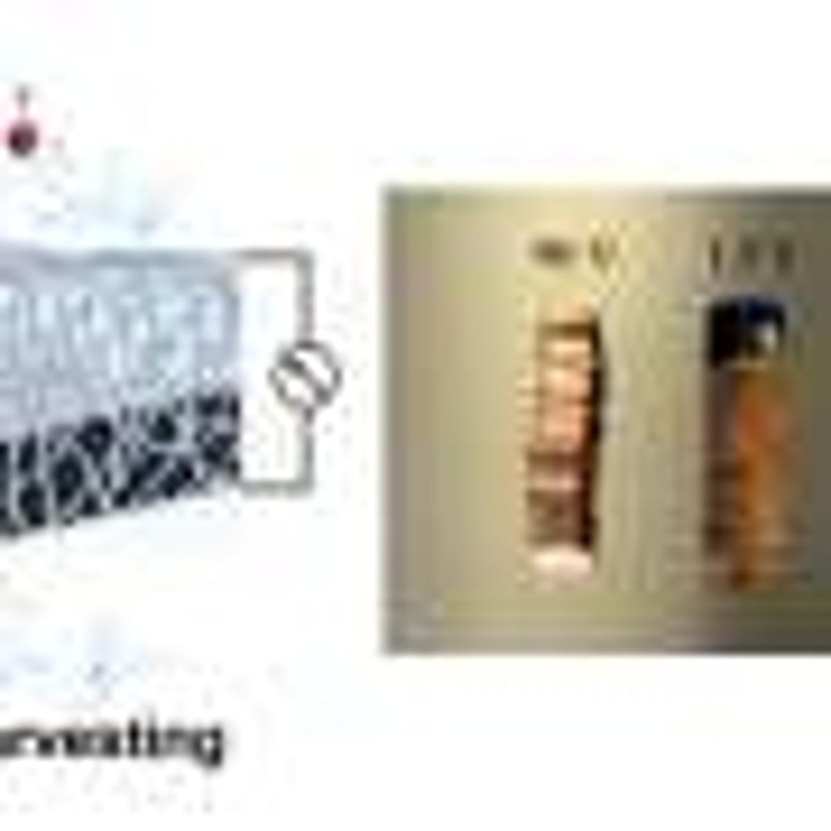 Scientists Generate Electricity From Ambient Moisture Using Everyday Ingredients
