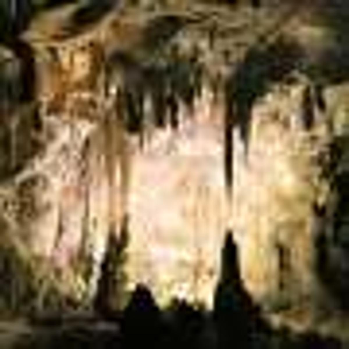 Field-Portable Assays Help Scientists Study and Explore Caves