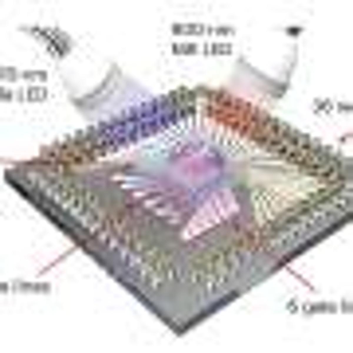 This Artificial Retina Doesn't Just Aim to Restore Sight—It Opens a Hidden Channel of Vision