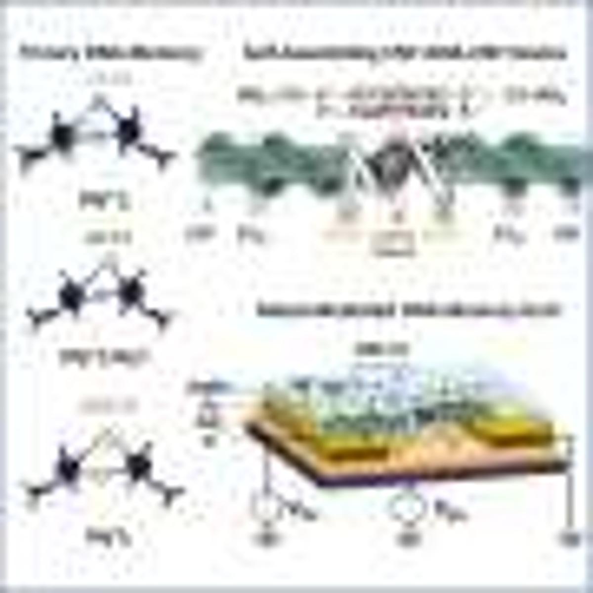 Video: Electrical Control of a Metal-Mediated DNA Memory
