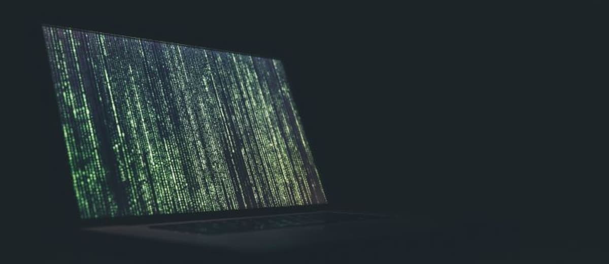 Radware Acquires Pynt to Bolster API Security Testing