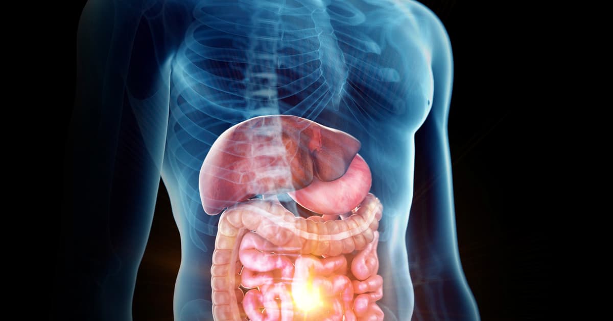 The Deepest Part of the Human Gut Contains a Peripheral Nervous System of About 500 Million Neurons — More than...