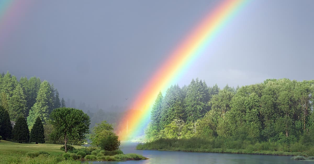 A Rainbow Is Not Actually Located in Any Specific Place in the Sky — Every Person Watching the Same Rainbow...