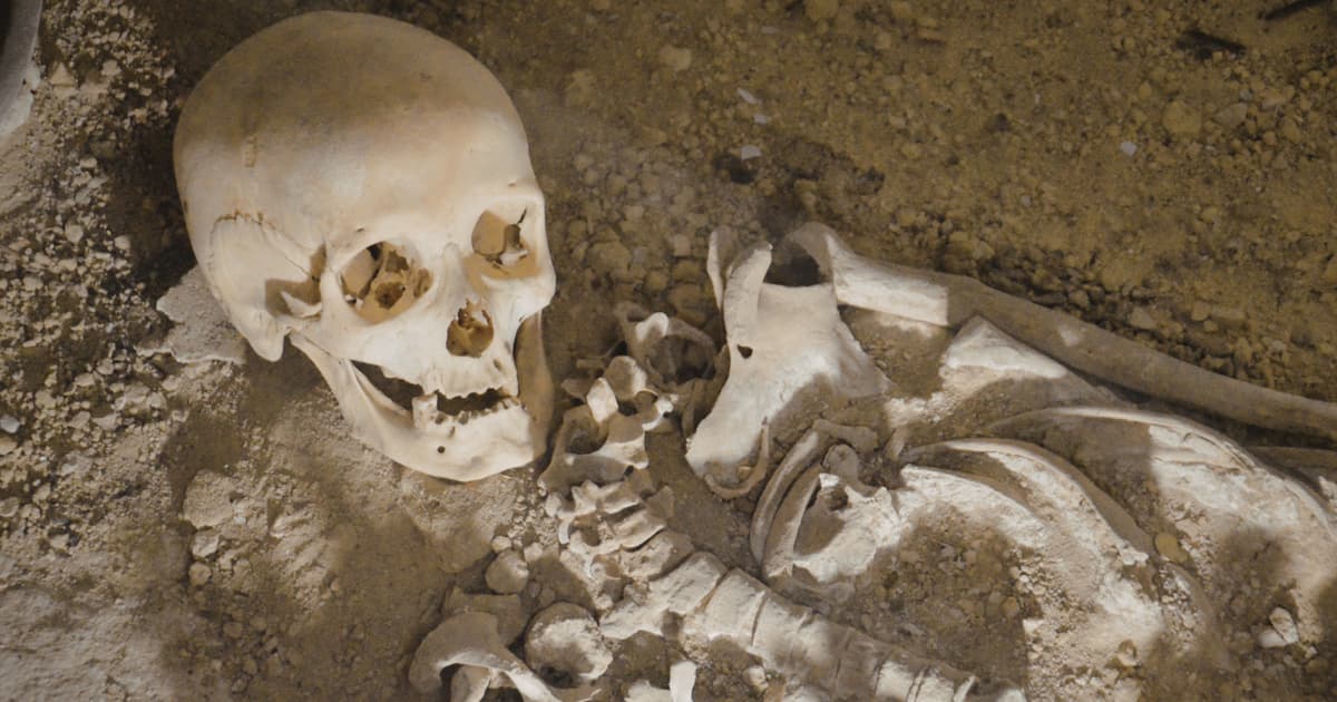 Every Human Being Alive Today Shares a Single Common Ancestor Who Lived as Recently as 3,000 Years Ago — Not...